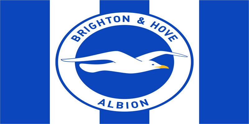 Brighton & Hove Albion Football Club: A Football Revolution