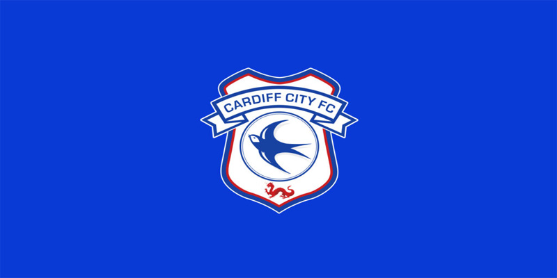 Cardiff City Football Club: A Welsh Football Legacy