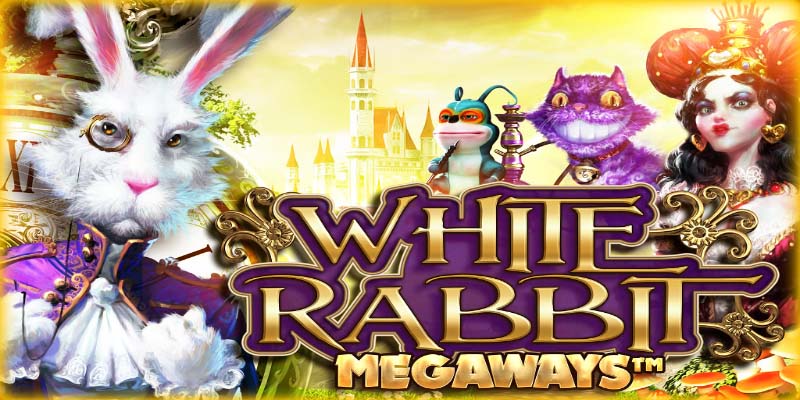 The White Rabbit: Discover the Secrets Behind Its Allure